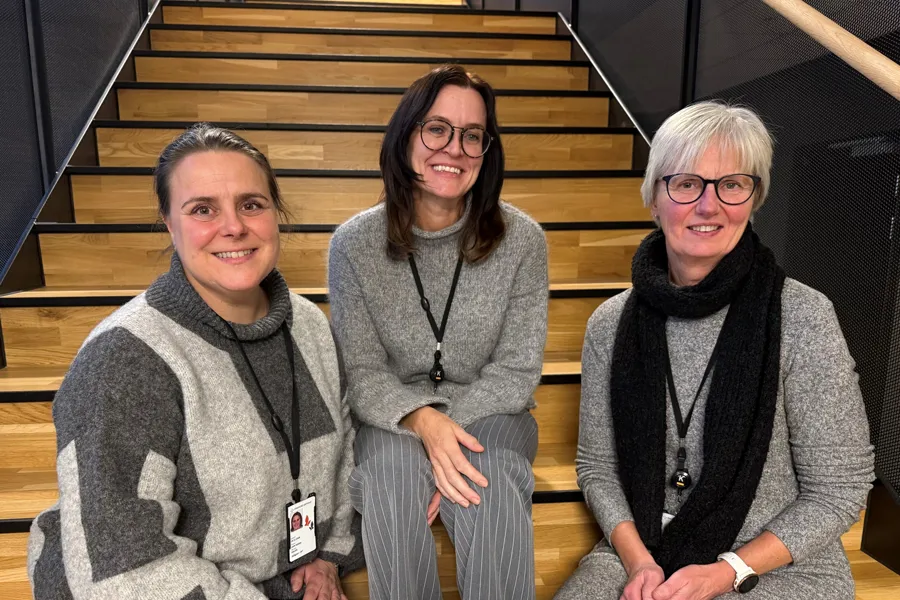 Linn Marie Hauge, Hege Hamlot og Guro Lerkerød