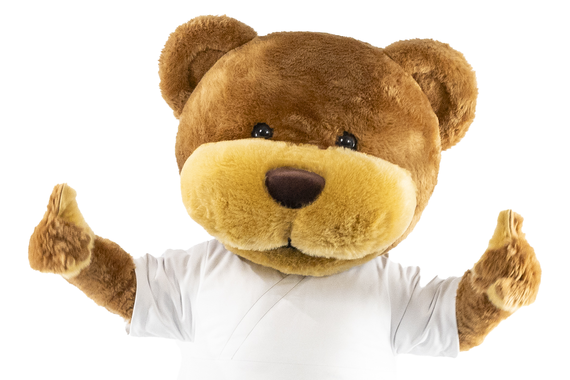 En teddybjørn iført hvit skjorte