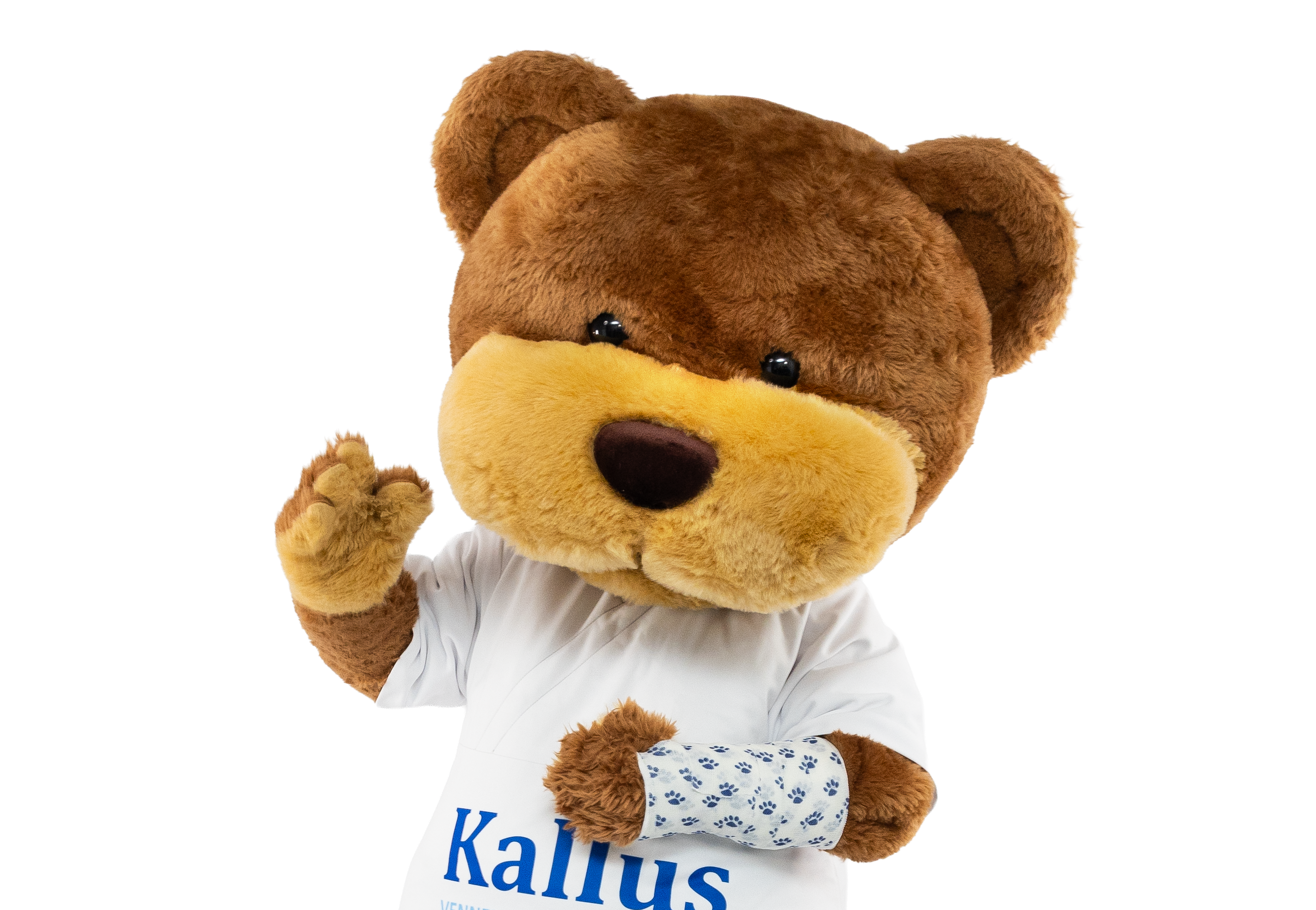 Kallus med gips på armen