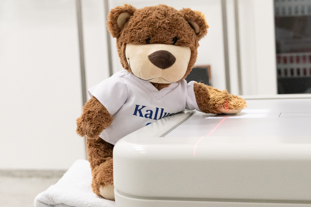 Kallus står stille og tar røntgen