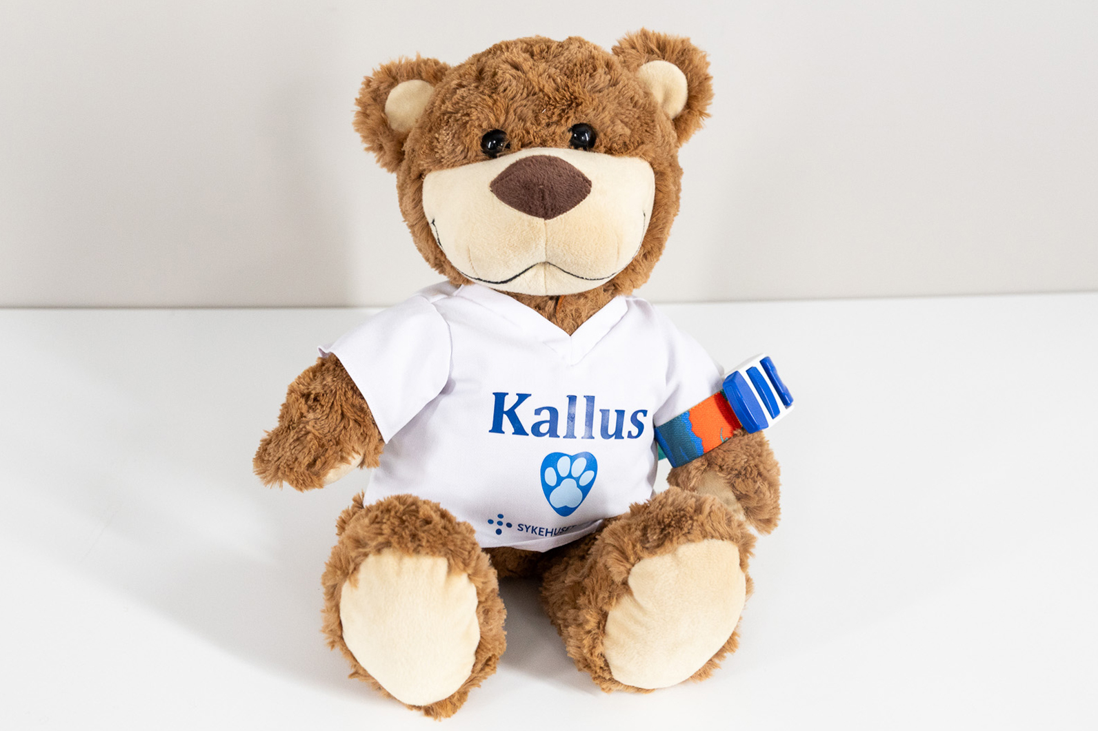 Kallus som får strammet strikk rundt armen før blodprøvetaking