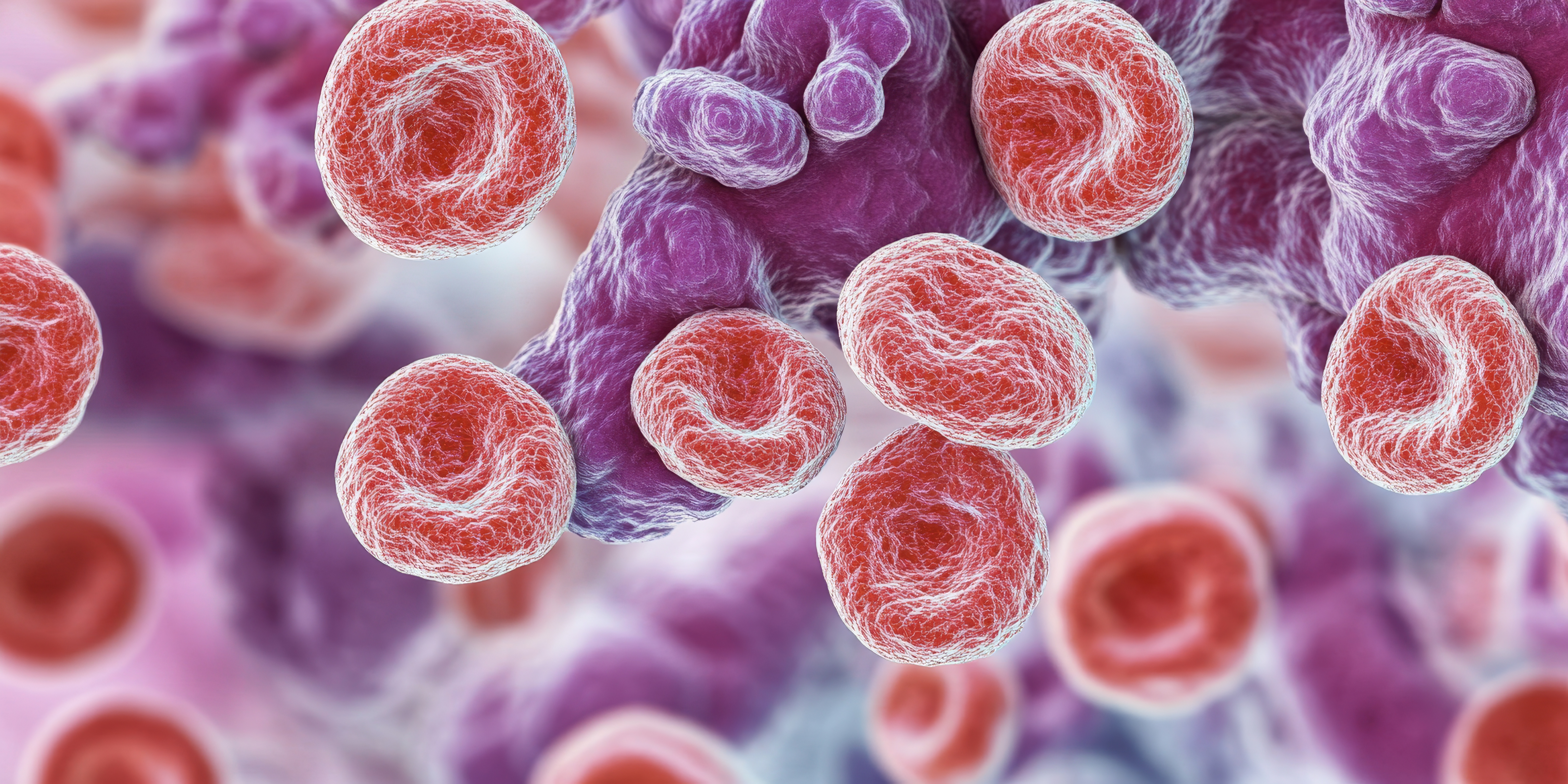 Illustrasjon: Celler