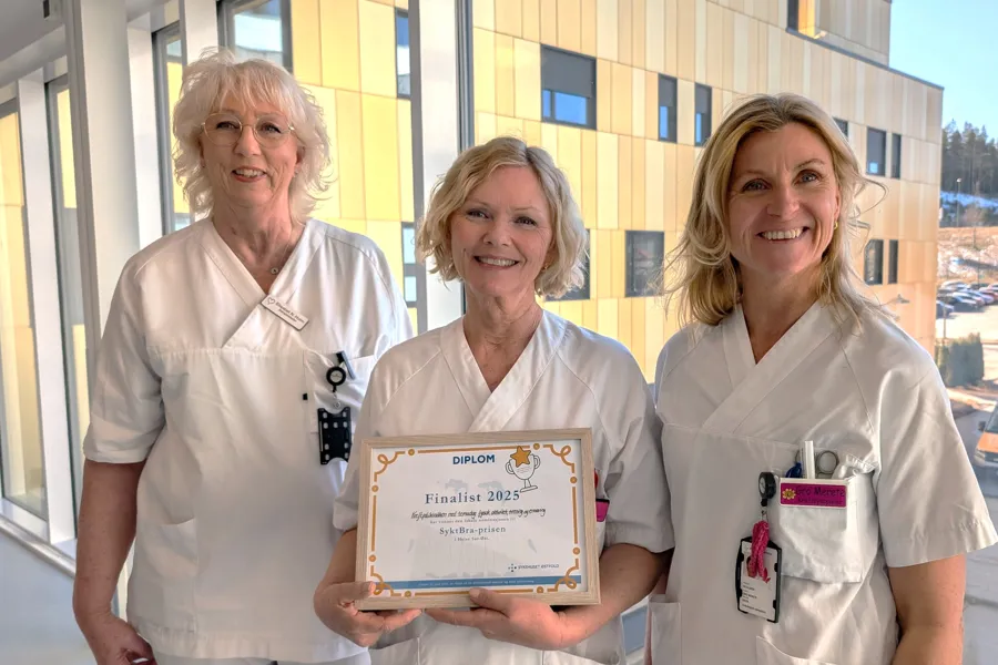 Vinnerne av “Sykt Bra”-prisen for Østfold. F.v. Elisabet Nilsen Holm, Solfrid Christoffersen og Gro Merete Bach.