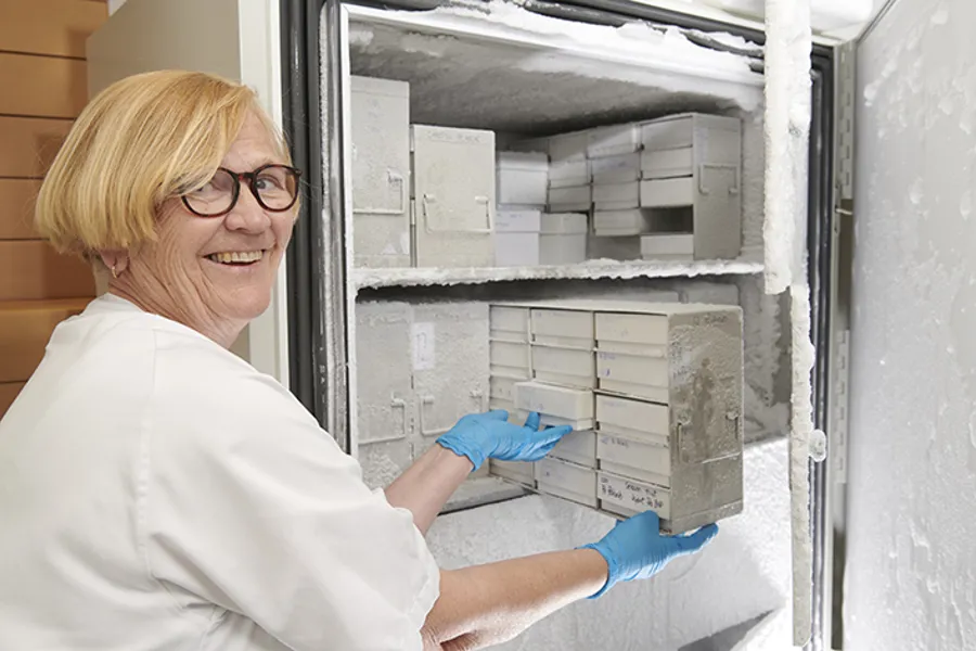 Medarbeider på biobanken