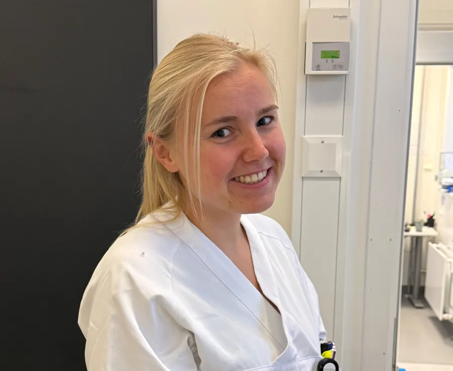 Sandra Desiré Haugen