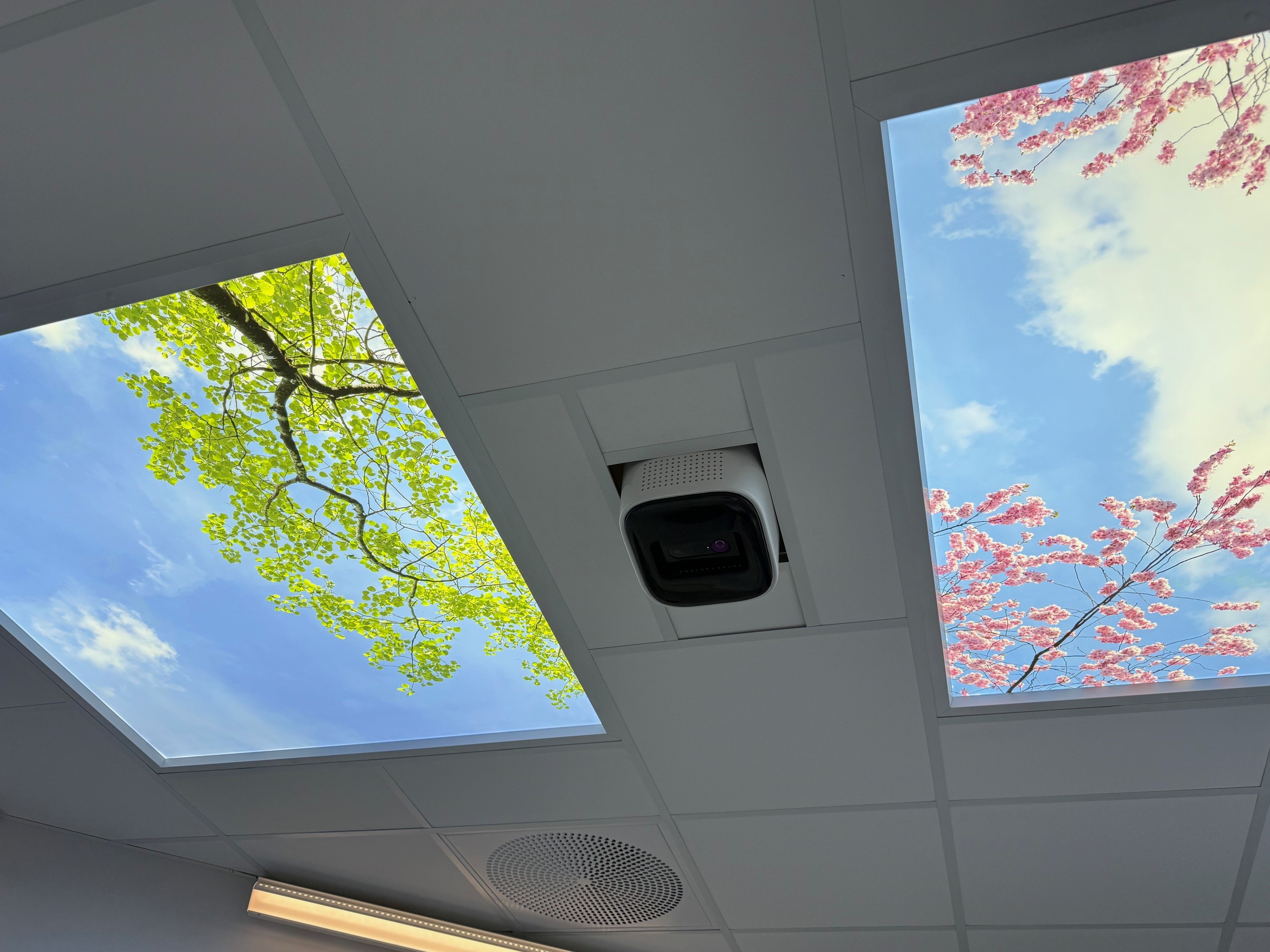 En hvit bygning med et tre i bakgrunnen