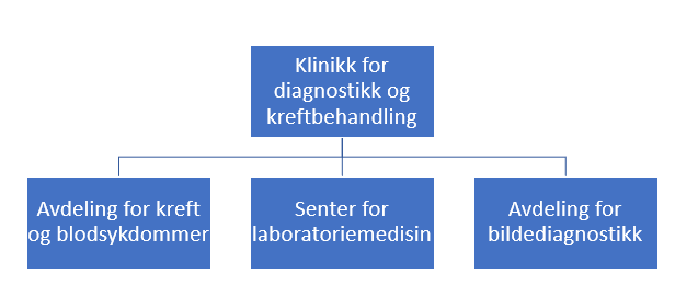 Organisasjonskart ny klinikk