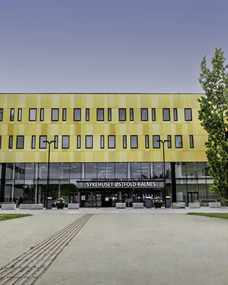 En stor bygning med en gate og trær foran den