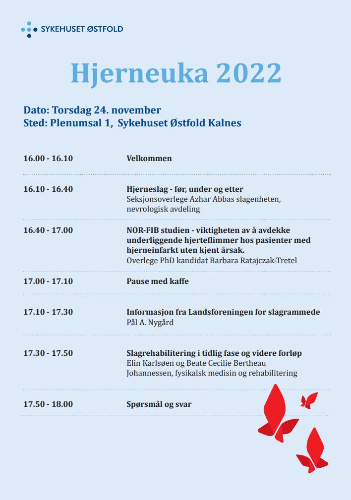 Bilde av programmet for arrangementet. 