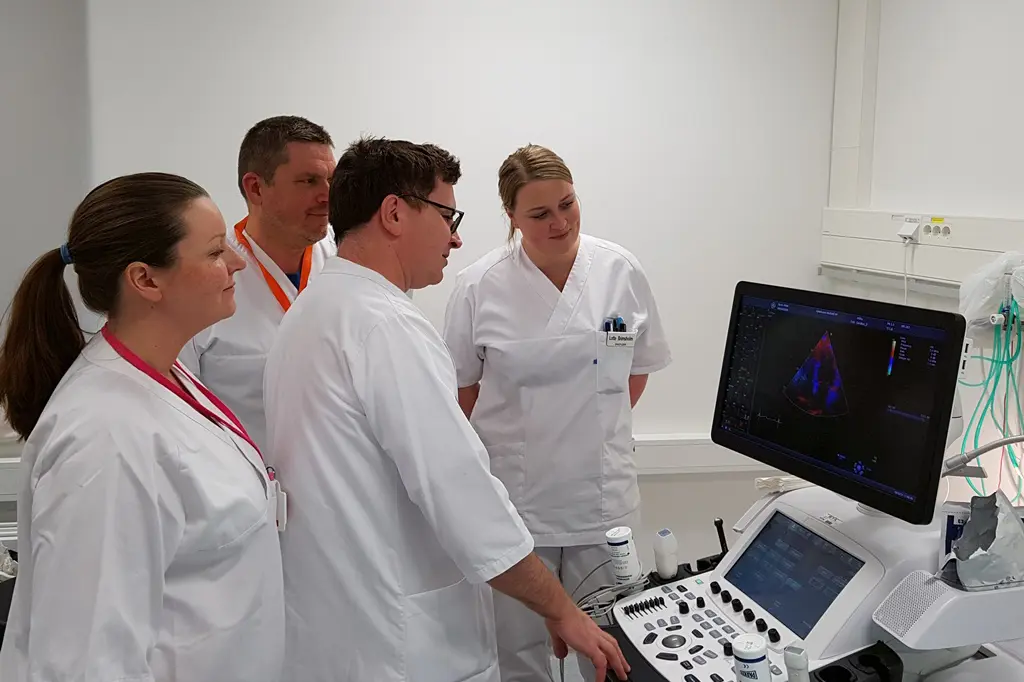 Medarbeidere studerer bilder