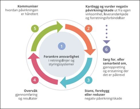 Figur som viser metodikken man bruker i arbeidet med aktsomhetsvurderinger