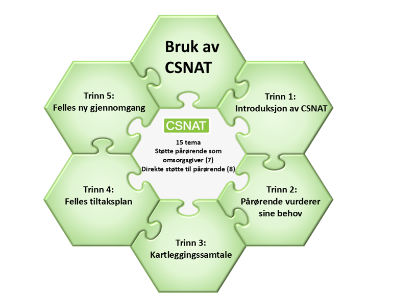 CSNAT illustrasjon