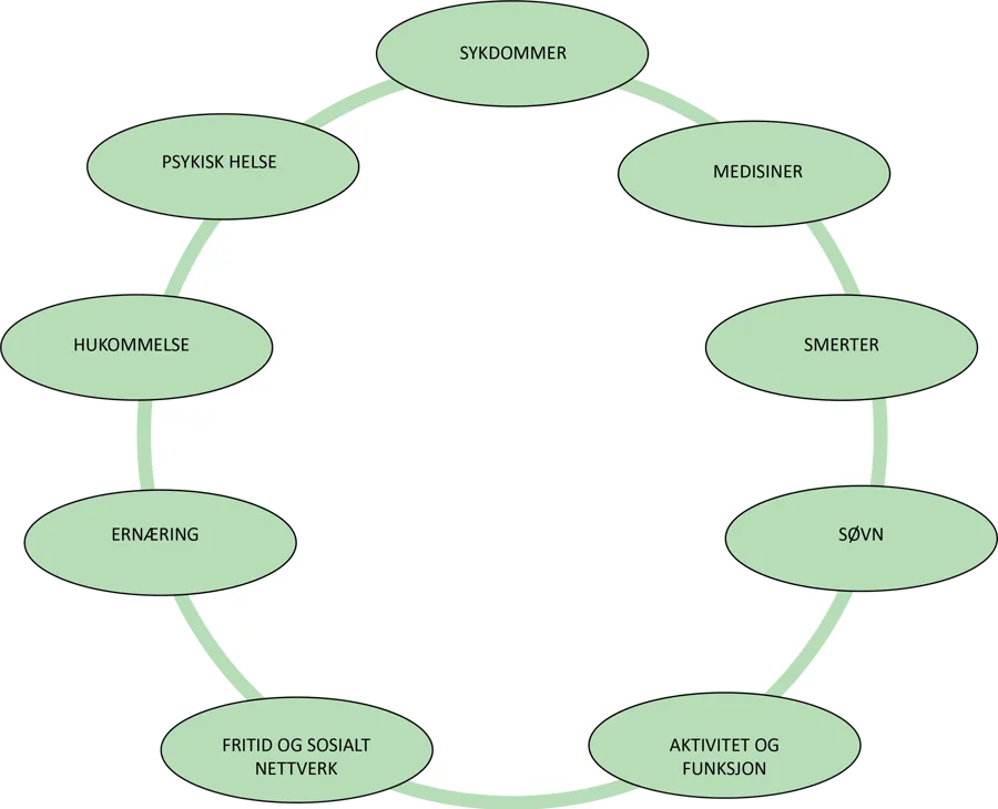 IHT-sirkel som inneholder teksten: sykdommer, medisiner, smerter, søvn, aktivitet og funksjon, fritid og sosialt nettverk, ernæring, hukommelse og psykisk helse