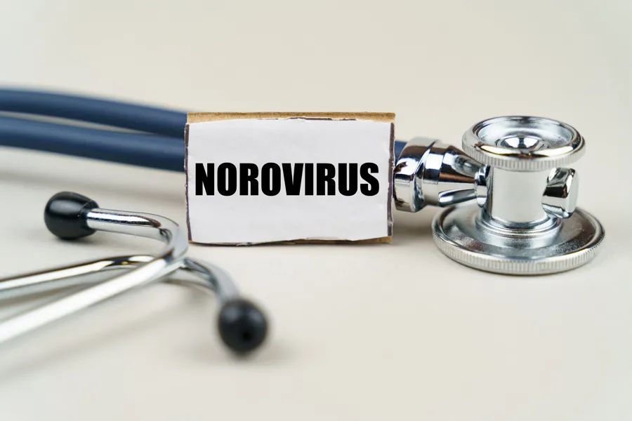 norovirus illustrasjonsfoto